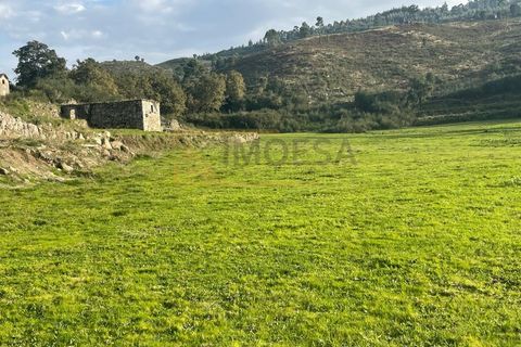 Farm i Moncao, Viana do Castelo, Moncao - € 170.000 | Ref: REF517 - foto 3