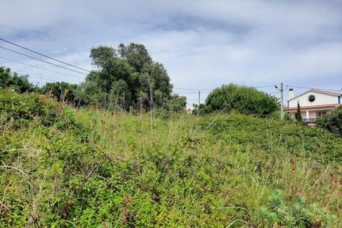 Helårsgrund i Alcobaca, Leiria, Alcobaca - € 65.000 | Ref: IC - 0273 - foto 4