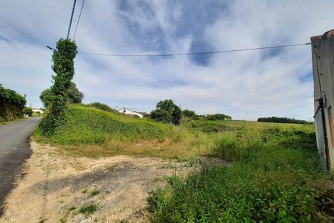 Helårsgrund i Alcobaca, Leiria, Alcobaca - € 65.000 | Ref: IC - 0273 - foto 5