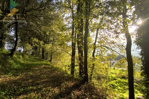 Helårsgrund i Amares, Braga, Amares - € 45.000 | Ref: AVV-005-021 - foto 3