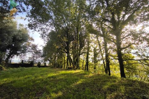 Helårsgrund i Amares, Braga, Amares - € 45.000 | Ref: AVV-005-021 - foto 4