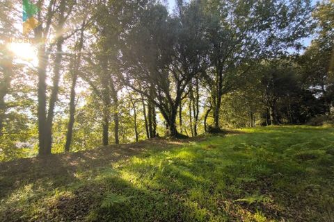 Helårsgrund i Amares, Braga, Amares - € 45.000 | Ref: AVV-005-021 - foto 6