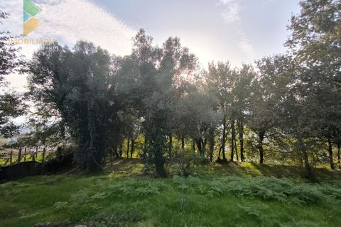 Helårsgrund i Amares, Braga, Amares - € 45.000 | Ref: AVV-005-021 - foto 9
