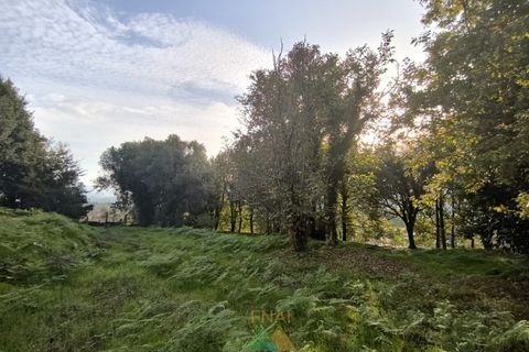 Helårsgrund i Amares, Braga, Amares - € 45.000 | Ref: AVV-005-021 - foto 10