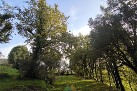 Helårsgrund i Amares, Braga, Amares - € 45.000 | Ref: AVV-005-021 - foto 11