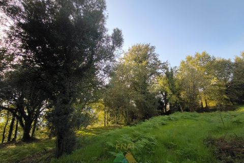 Helårsgrund i Amares, Braga, Amares - € 45.000 | Ref: AVV-005-021 - foto 13