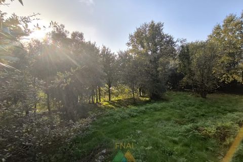 Helårsgrund i Amares, Braga, Amares - € 45.000 | Ref: AVV-005-021 - foto 14