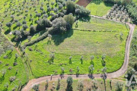Terra a Penela, Coimbra, Penela - € 15.000 | Ref: 131140 - foto 2