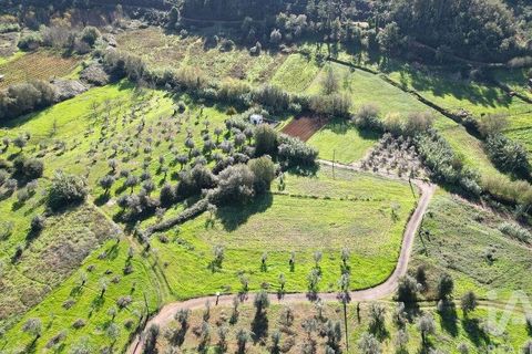Terra a Penela, Coimbra, Penela - € 15.000 | Ref: 131140 - foto 3