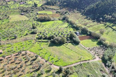 Terra a Penela, Coimbra, Penela - € 15.000 | Ref: 131140 - foto 4