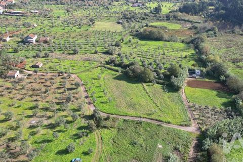 Terra a Penela, Coimbra, Penela - € 15.000 | Ref: 131140 - foto 5