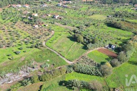 Terra a Penela, Coimbra, Penela - € 15.000 | Ref: 131140 - foto 6
