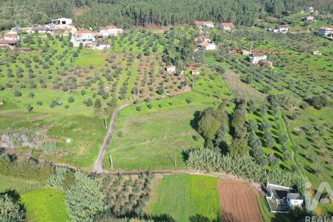 Terra a Penela, Coimbra, Penela - € 15.000 | Ref: 131140 - foto 7