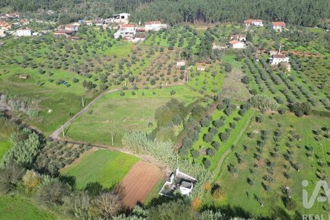 Terra a Penela, Coimbra, Penela - € 15.000 | Ref: 131140 - foto 8