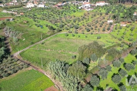 Terra a Penela, Coimbra, Penela - € 15.000 | Ref: 131140 - foto 9