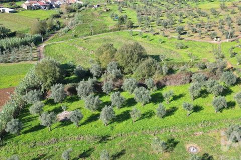 Terra a Penela, Coimbra, Penela - € 15.000 | Ref: 131140 - foto 11
