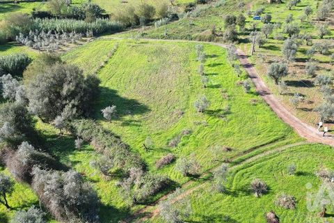 Terra a Penela, Coimbra, Penela - € 15.000 | Ref: 131140 - foto 12