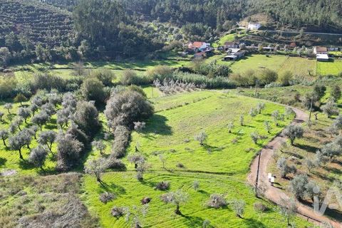 Terra a Penela, Coimbra, Penela - € 15.000 | Ref: 131140 - foto 13