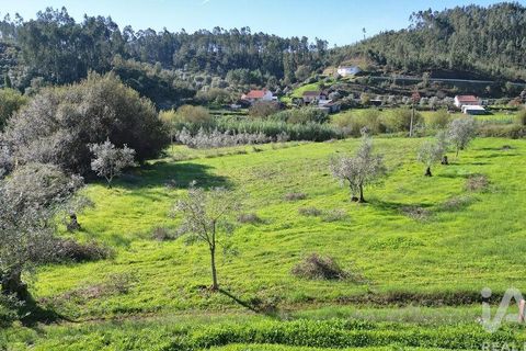 Terra a Penela, Coimbra, Penela - € 15.000 | Ref: 131140 - foto 14