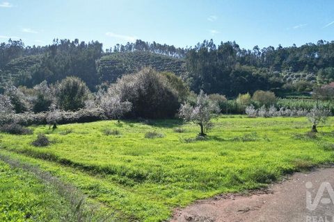 Terra a Penela, Coimbra, Penela - € 15.000 | Ref: 131140 - foto 15
