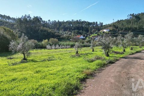 Terra a Penela, Coimbra, Penela - € 15.000 | Ref: 131140 - foto 16