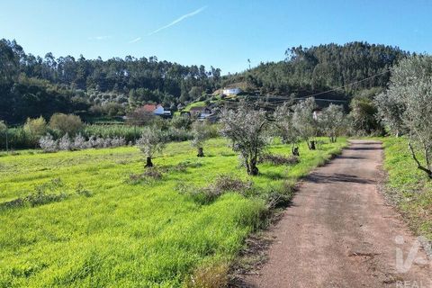 Terra a Penela, Coimbra, Penela - € 15.000 | Ref: 131140 - foto 17