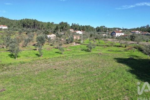 Terra a Penela, Coimbra, Penela - € 15.000 | Ref: 131140 - foto 18