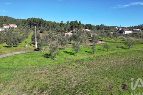 Terra a Penela, Coimbra, Penela - € 15.000 | Ref: 131140 - foto 19