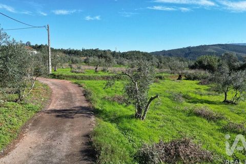 Terra a Penela, Coimbra, Penela - € 15.000 | Ref: 131140 - foto 20