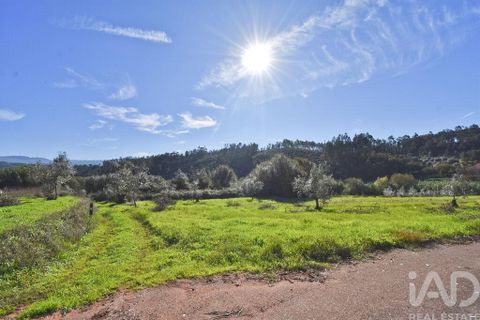 Terra a Penela, Coimbra, Penela - € 15.000 | Ref: 131140 - foto 21