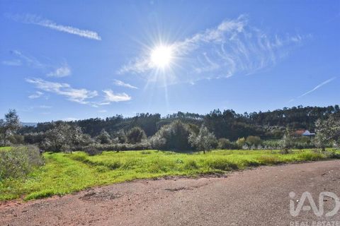 Terra a Penela, Coimbra, Penela - € 15.000 | Ref: 131140 - foto 22