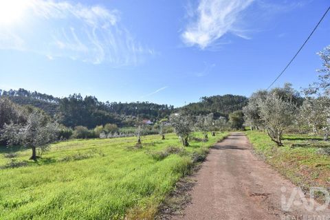 Terra a Penela, Coimbra, Penela - € 15.000 | Ref: 131140 - foto 23