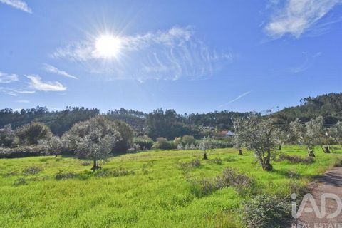 Terra a Penela, Coimbra, Penela - € 15.000 | Ref: 131140 - foto 24
