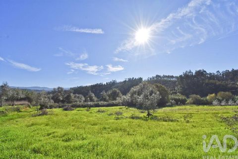 Terra a Penela, Coimbra, Penela - € 15.000 | Ref: 131140 - foto 25
