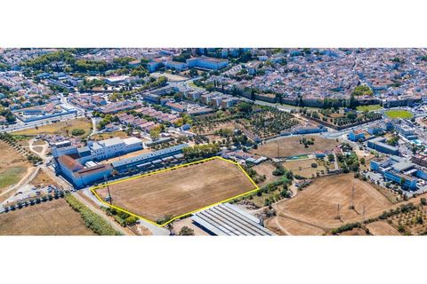 Helårsgrund i Evora, Evora, Evora - € 1.800.000 | Ref: TER_2948 - foto 2