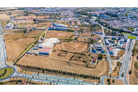 Helårsgrund i Evora, Evora, Evora - € 1.800.000 | Ref: TER_2948 - foto 4