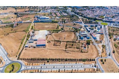 Helårsgrund i Evora, Evora, Evora - € 1.800.000 | Ref: TER_2948 - foto 5