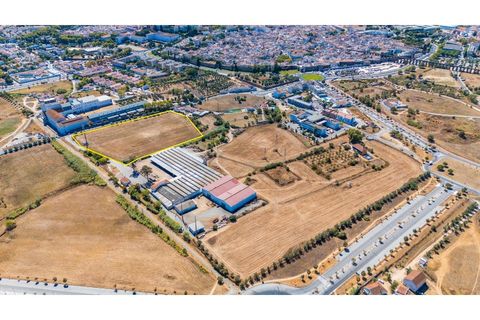 Helårsgrund i Evora, Evora, Evora - € 1.800.000 | Ref: TER_2948 - foto 6