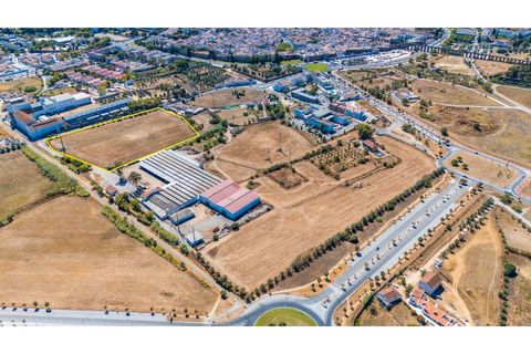Helårsgrund i Evora, Evora, Evora - € 1.800.000 | Ref: TER_2948 - foto 7