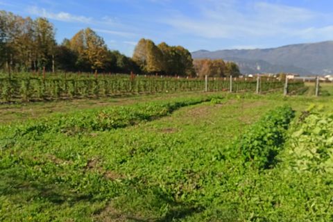 Villa i Vittorio Veneto, Treviso, Vittorio Veneto - € 180.000 | Ref: MD 121 LL - foto 2