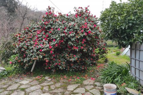 Landejendom i Rapallo, Genoa, Rapallo - € 210.000 | Ref: A1211 - foto 2