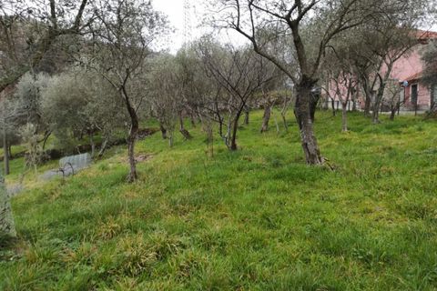 Landejendom i Rapallo, Genoa, Rapallo - € 210.000 | Ref: A1211 - foto 3