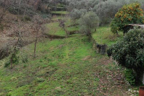 Landejendom i Rapallo, Genoa, Rapallo - € 210.000 | Ref: A1211 - foto 6