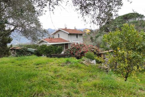Landejendom i Rapallo, Genoa, Rapallo - € 210.000 | Ref: A1211 - foto 15