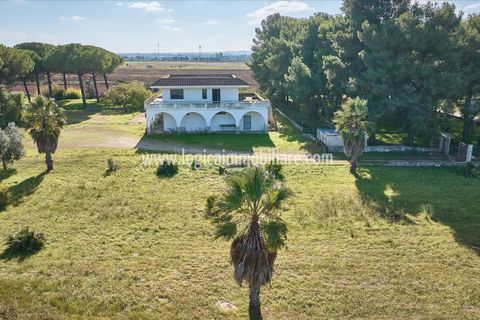 Villa a Galatina, Lecce, Galatina - € 290.000 | Ref: VL367 - foto 3