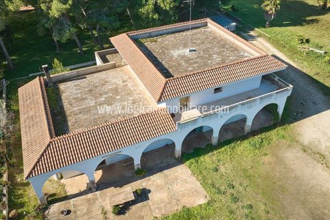 Villa a Galatina, Lecce, Galatina - € 290.000 | Ref: VL367 - foto 4