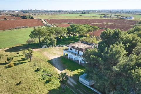 Villa a Galatina, Lecce, Galatina - € 290.000 | Ref: VL367 - foto 6