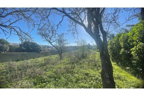 Helårsgrund i Luz, Faro, Luz - € 255.000 | Ref: T1124 - foto 2