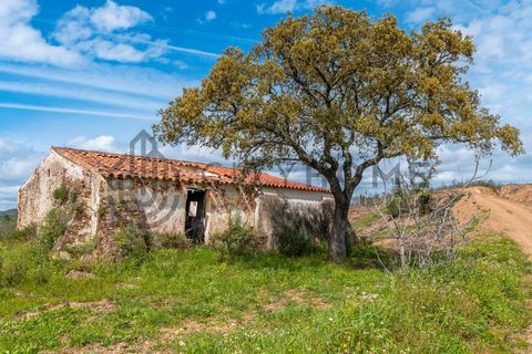 Villa a Silves, Faro, Silves - € 190.000 | Ref: City-24-35V - foto 23