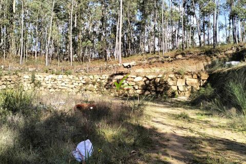 Helårsgrund i Barcelos, Braga, Barcelos - € 110.000 | Ref: 2052 - foto 4